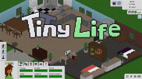 Tiny Life Console Commands and Usage .